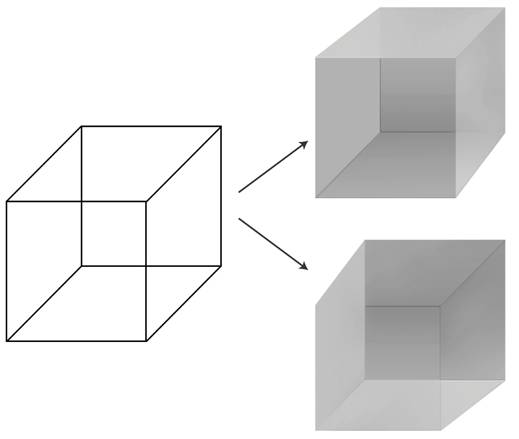 A Necker Cube and its two orientations.
